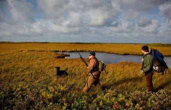 two men and dog hunting on a field