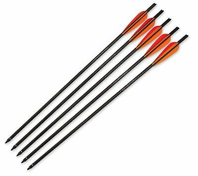 Barnett Headhunter Arrows