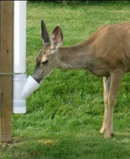 PVC管重力给料机