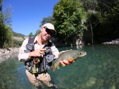 fly angler caught trout