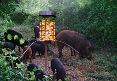 猪给料机
