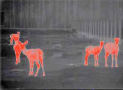 从量子XD38S脉冲星