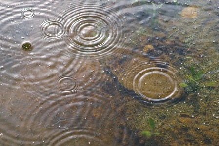 雨滴在水面上