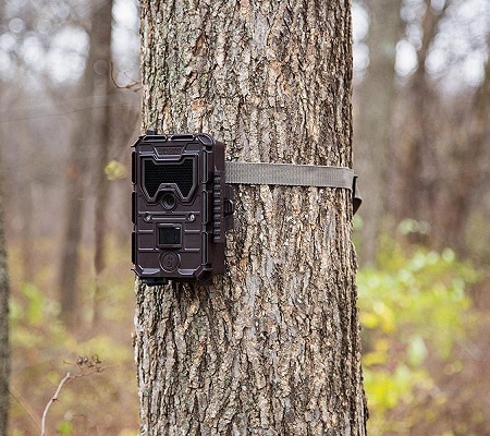 手机游戏摄像头安装在树上