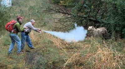 猎人在荒野中使用防熊喷雾