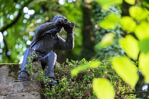 森林中手持双筒望远镜的男子雕像