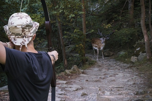 猎人在狭窄的山路上用箭瞄准一只斑点鹿。