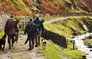 hunters walking with dogs