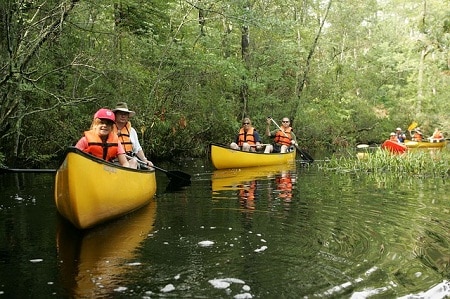 在河上划独木舟的游客