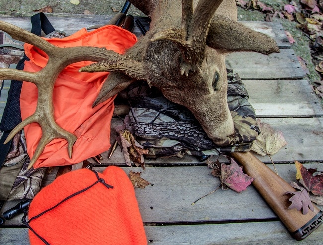 八分奖杯白尾鹿，猎枪，狩猎服，鹿叫声和子弹在一个质朴的木桌上