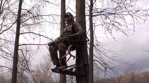 手持鹿角的弓箭猎人站在树梢上