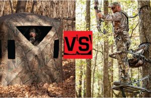 ground blinds vs treestand 1