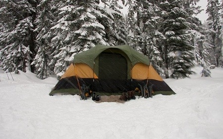 帐篷搭在满是雪的树林里
