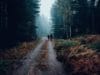 Two hunters walking down a dirt road in a forest