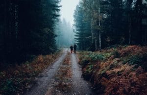 两个猎人在路上