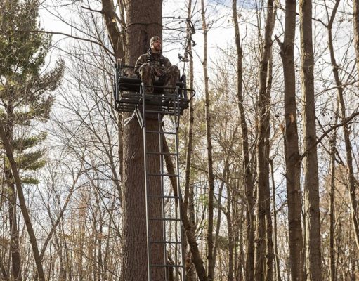 lockdown big tree stand