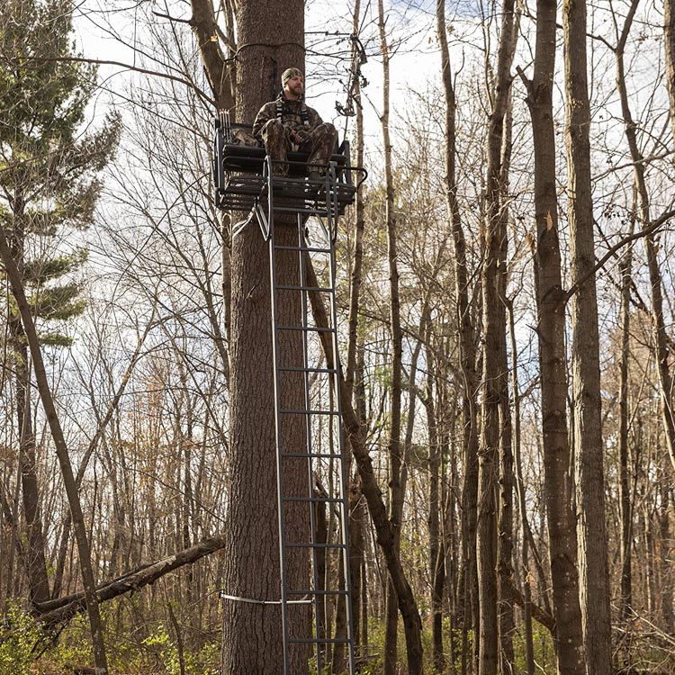 弓猎人坐在梯子上，站在一棵大树上