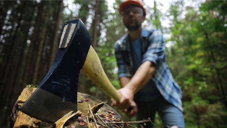 一个人拿着斧头在森林里砍树