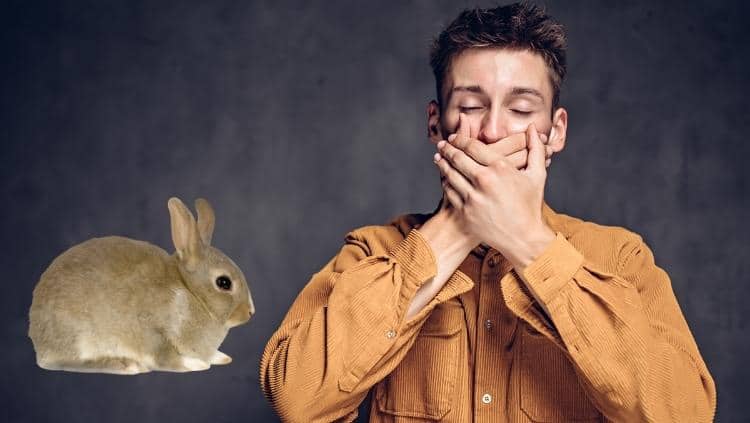 一只兔子挨着一个男人，他捂着嘴不说兔子