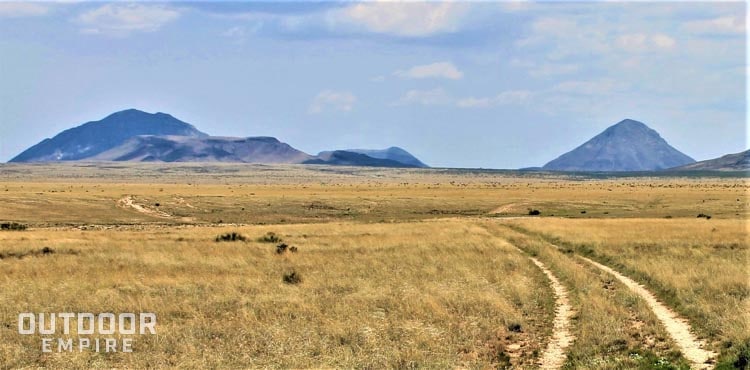 干燥的高沙漠草原，背景是山脉