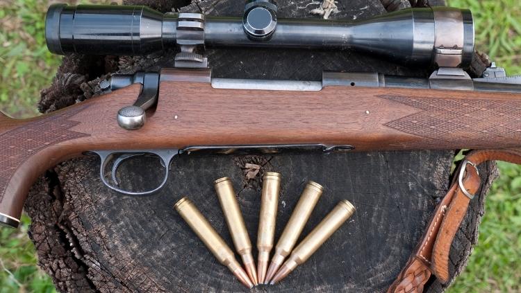 步枪和弹药在树干上