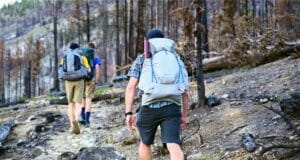 徒步旅行者携带一个鱼鹰轻浮