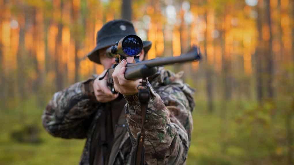 猎人在树林里用步枪瞄准