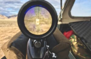 Looking at target through rifle scope