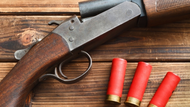 无毒弹药旧猎枪