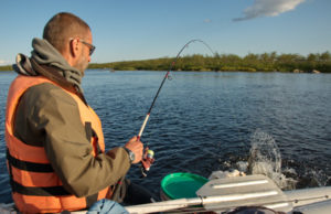 渔夫在北边的河里钓到了一条鲑鱼。