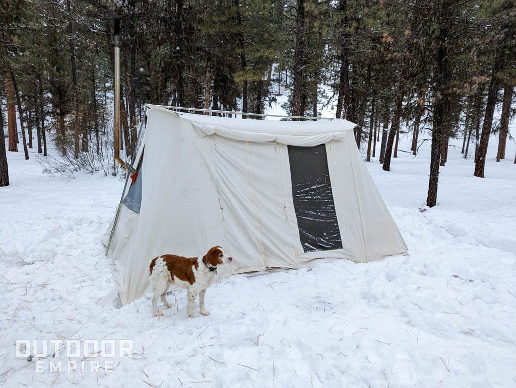 雪上的弹簧棒经典杰克140帐篷，前面站着一只狗