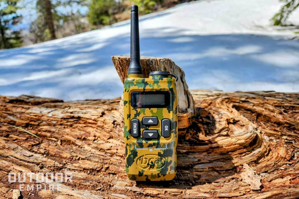 冬天BCA BC链接在树林里