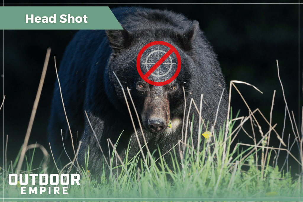 图形的黑熊面对相机十字准线集中在它的头和不开枪的象征